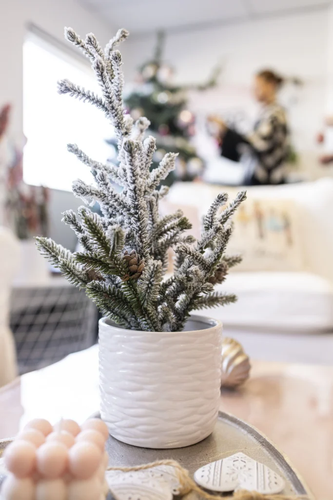 decor-hivernal-strategie-fetes